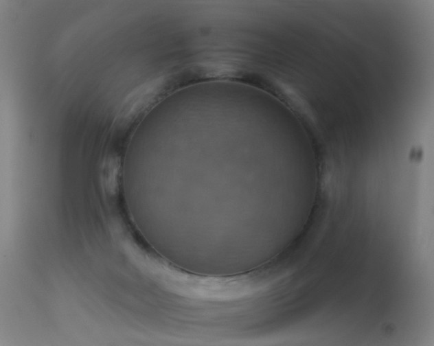 X0000113230026200909171549