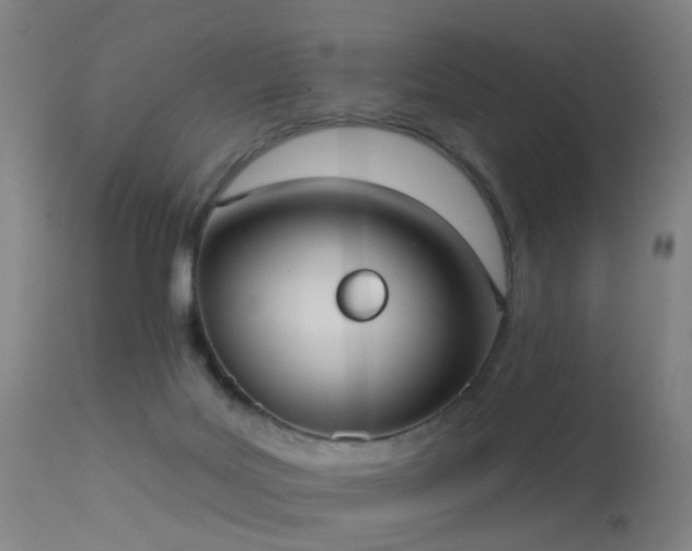 X0000113230027200909171549