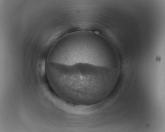 X0000113230028200909171549