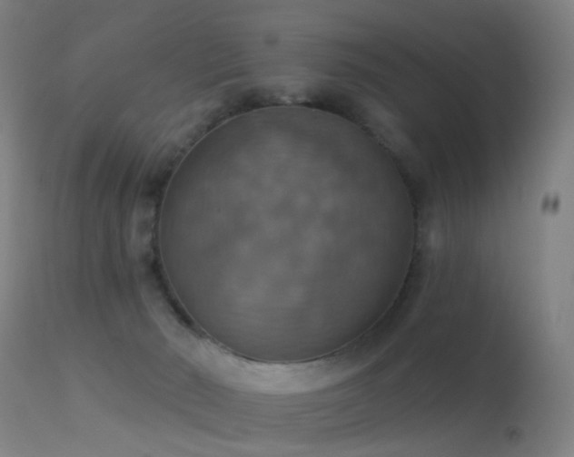 X0000113230030200909171549