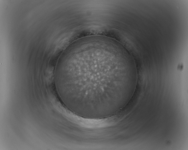 X0000113230034200909171549