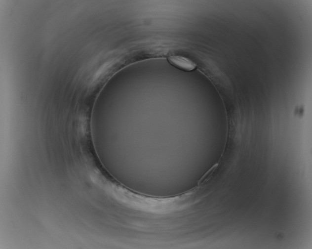 X0000113230035200909171549