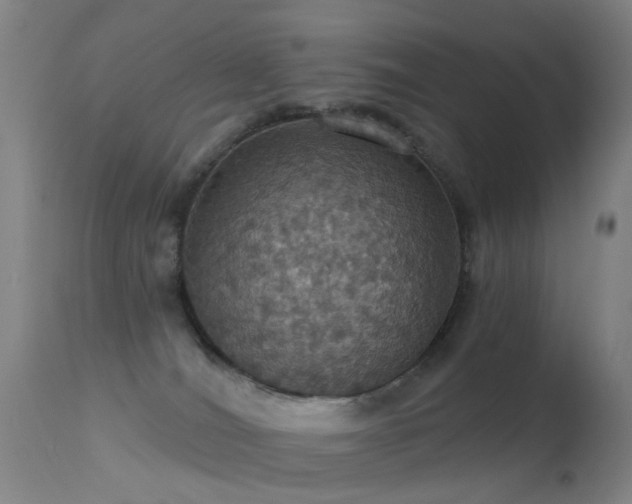 X0000113230036200909171549