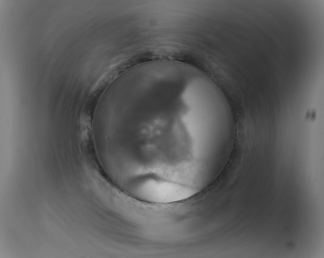 X0000113230038200909171549