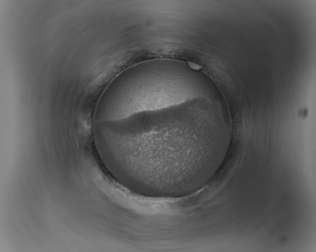 X0000113230040200909171549