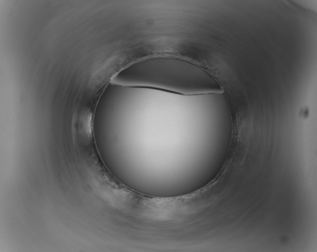 X0000113230041200909171549