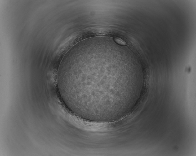 X0000113230044200909171549