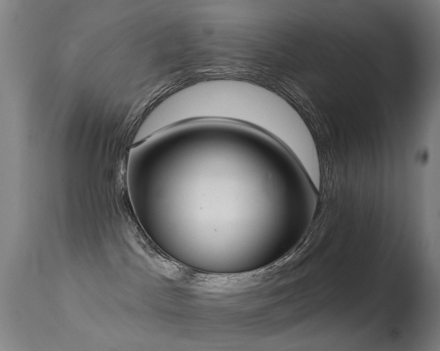 X0000113230045200909171549