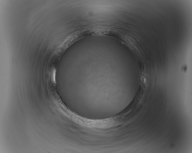 X0000113230046200909171549