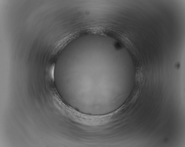 X0000113230047200909171549