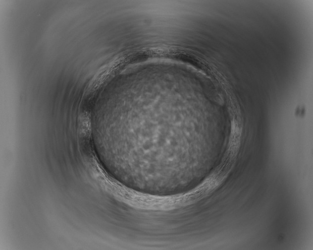 X0000113230048200909171549