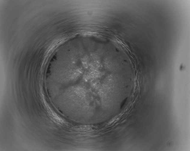 X0000113230049200909171548