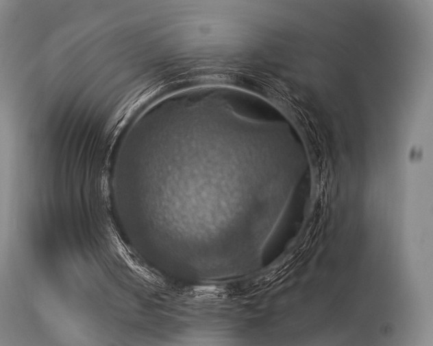 X0000113230050200909171548