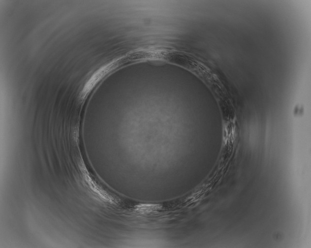 X0000113230051200909171548