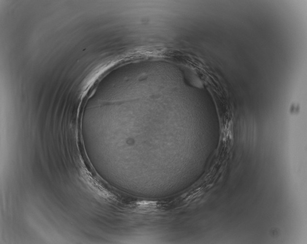 X0000113230052200909171548