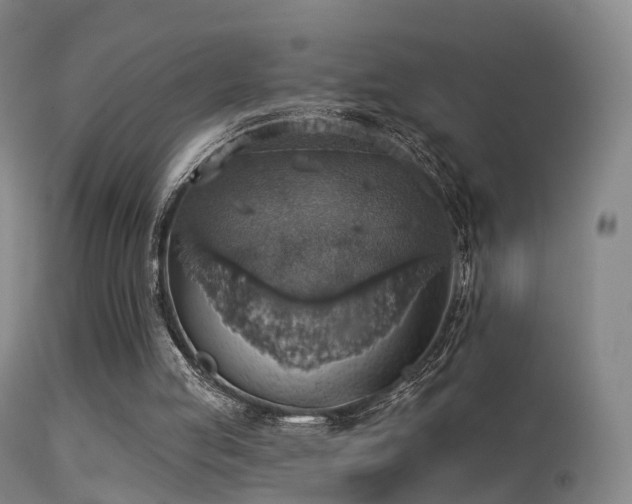 X0000113230053200909171548