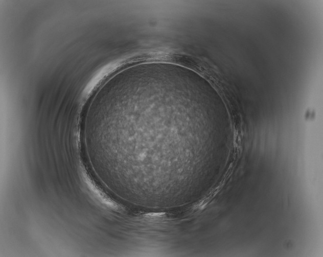 X0000113230054200909171548