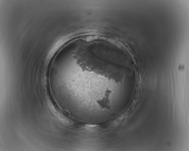 X0000113230055200909171548