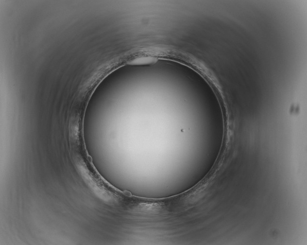 X0000113230057200909171548