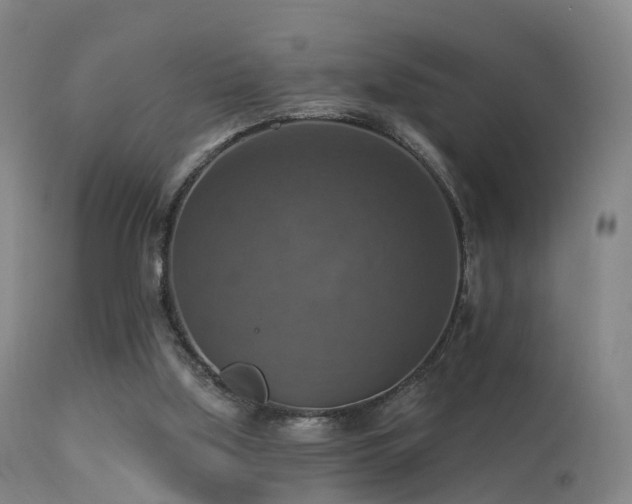 X0000113230059200909171548