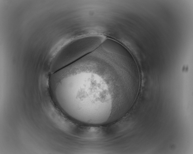 X0000113230060200909171548