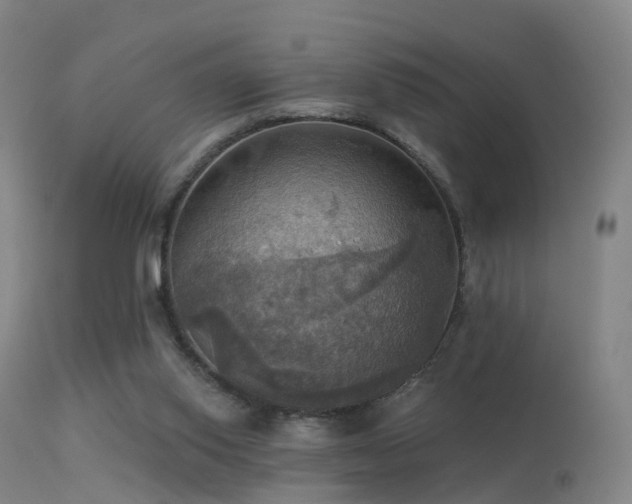 X0000113230062200909171548