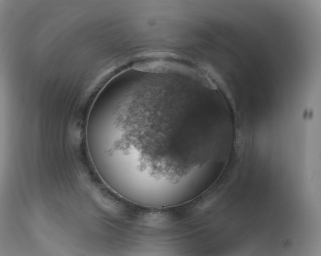 X0000113230063200909171548