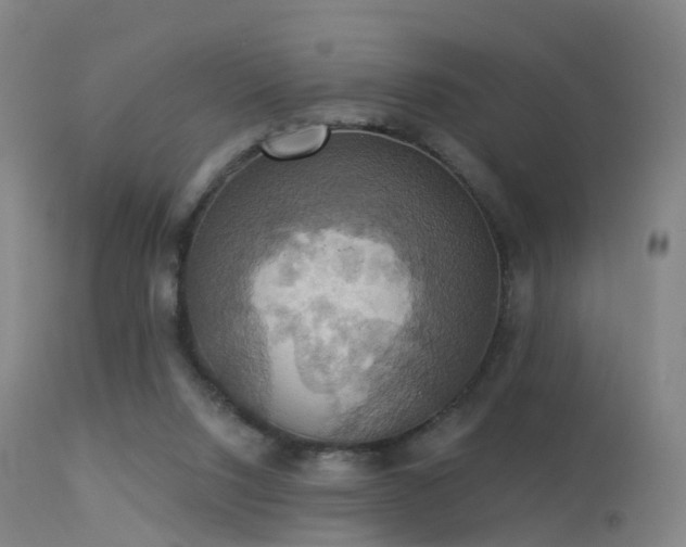 X0000113230064200909171548