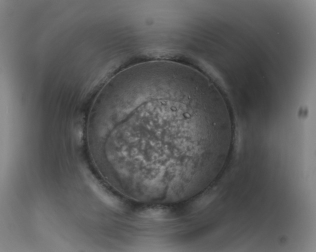 X0000113230065200909171548