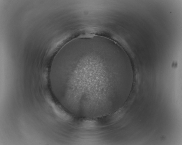 X0000113230066200909171548