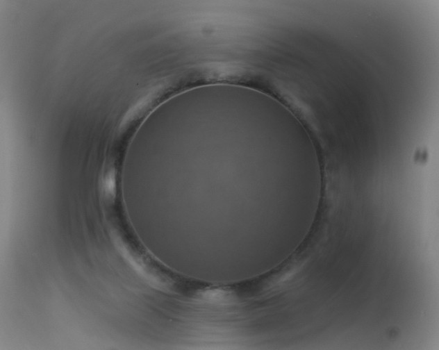 X0000113230067200909171548