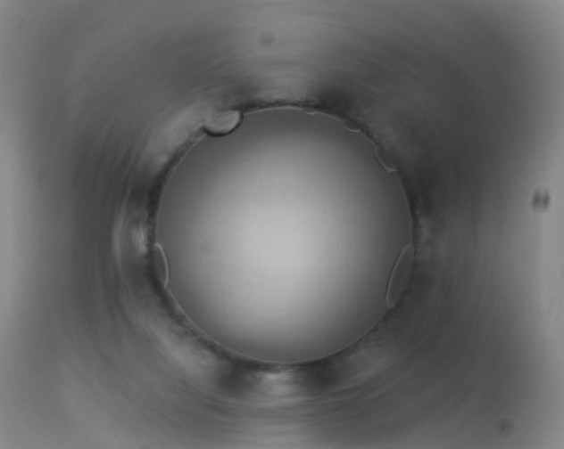 X0000113230068200909171548