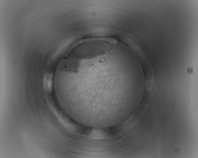 X0000113230070200909171548