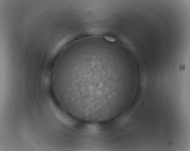 X0000113230071200909171548