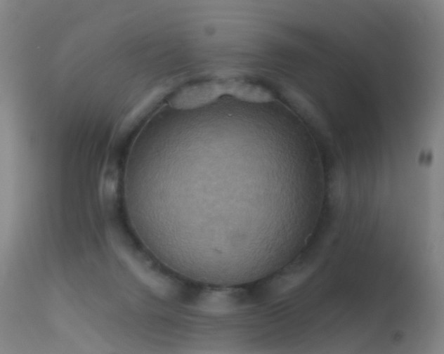 X0000113230072200909171548