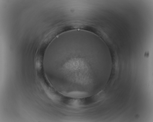 X0000113230074200909171548