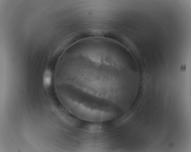 X0000113230075200909171548