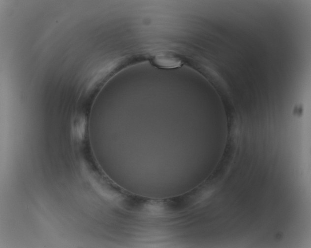 X0000113230076200909171548