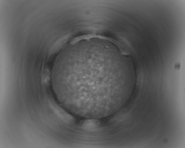 X0000113230077200909171548