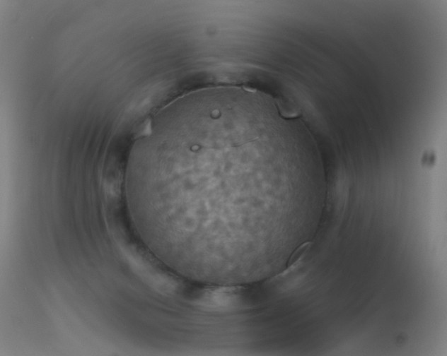 X0000113230078200909171548