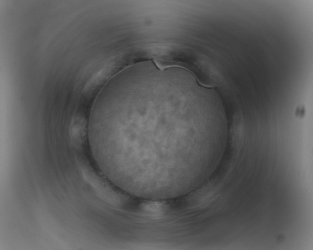 X0000113230079200909171548