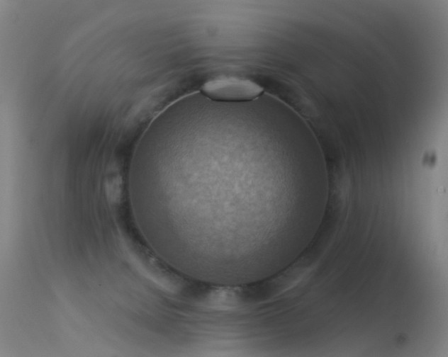 X0000113230080200909171548