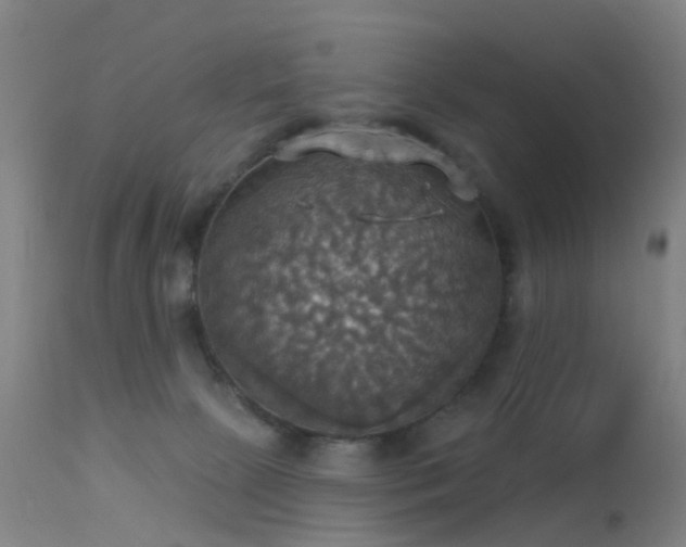 X0000113230081200909171548