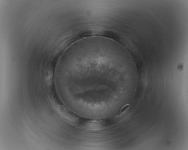 X0000113230082200909171548