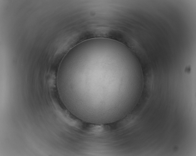 X0000113230083200909171548