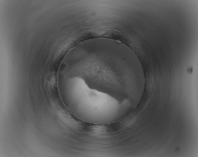 X0000113230085200909171548