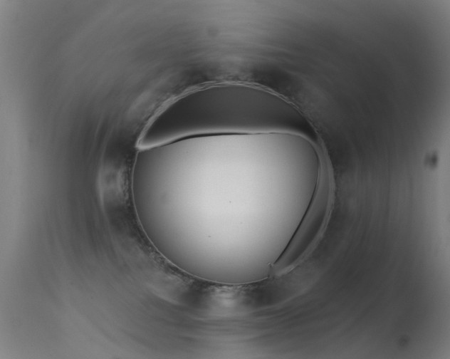 X0000113230088200909171548