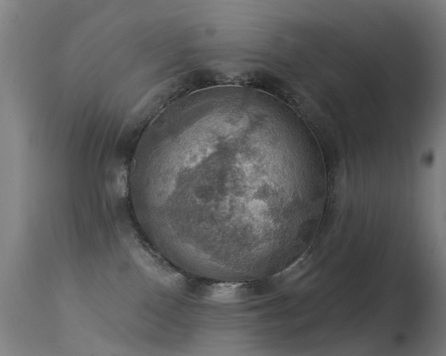 X0000113230090200909171548