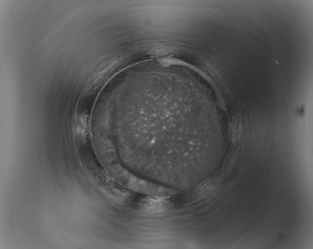 X0000113230093200909171549