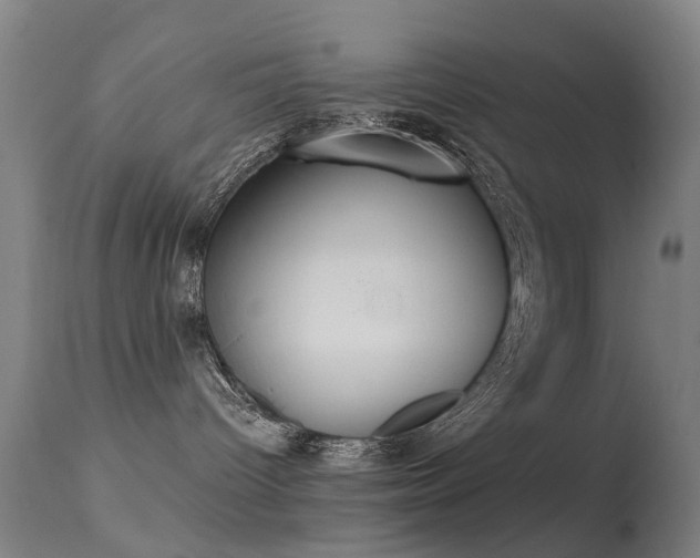 X0000113230096200909171549